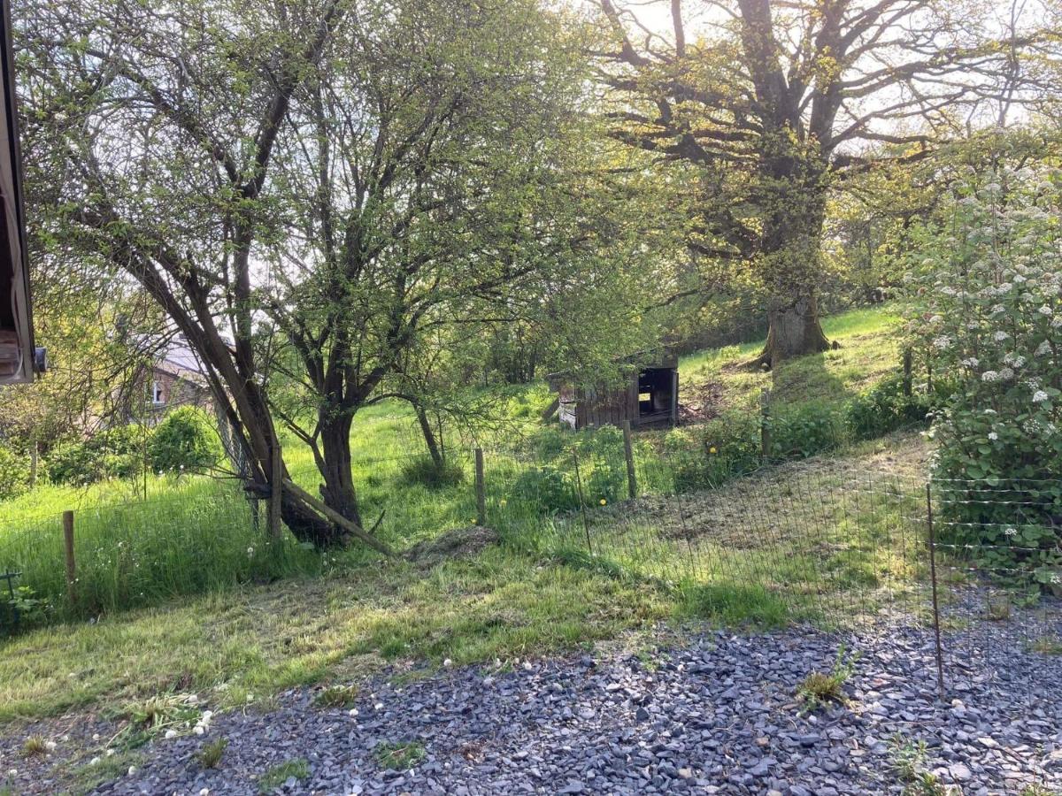Au Panier Ardennais Gouvy Exteriör bild